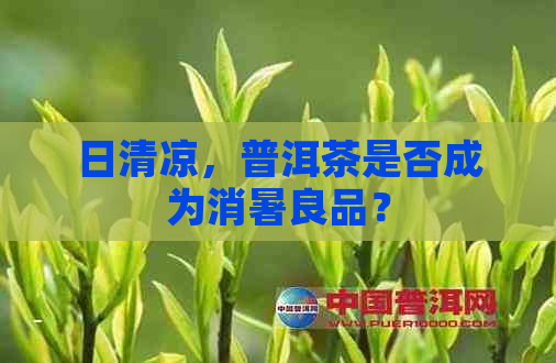 日清凉，普洱茶是否成为消暑良品？