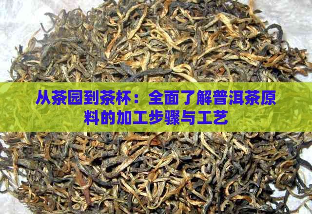 从茶园到茶杯：全面了解普洱茶原料的加工步骤与工艺