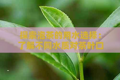 探索泡茶的用水选择：了解不同水质对茶叶口感的影响