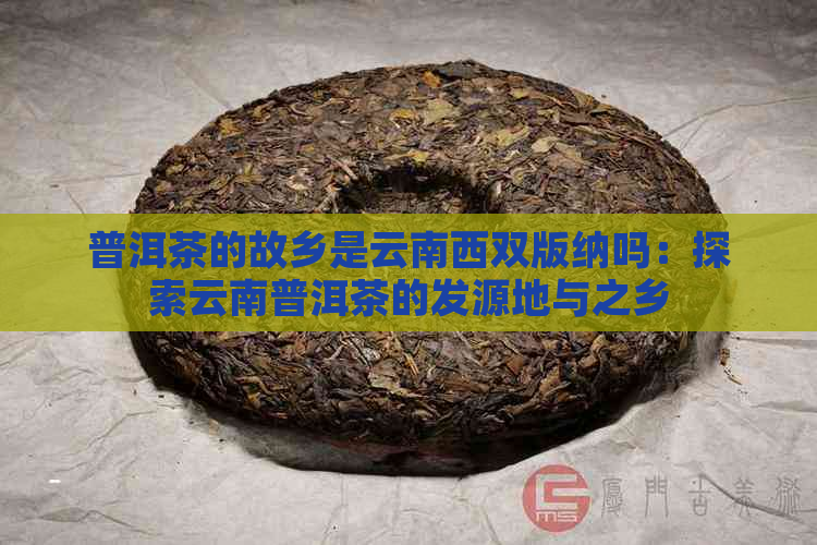 普洱茶的故乡是云南西双版纳吗：探索云南普洱茶的发源地与之乡