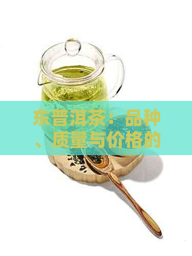 东普洱茶：品种、质量与价格的综合分析