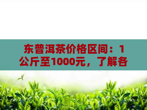 东普洱茶价格区间：1公斤至1000元，了解各价位的购买建议和品质特点