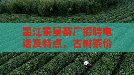 墨江景星茶厂招聘电话及特点，古树茶价格是多少？