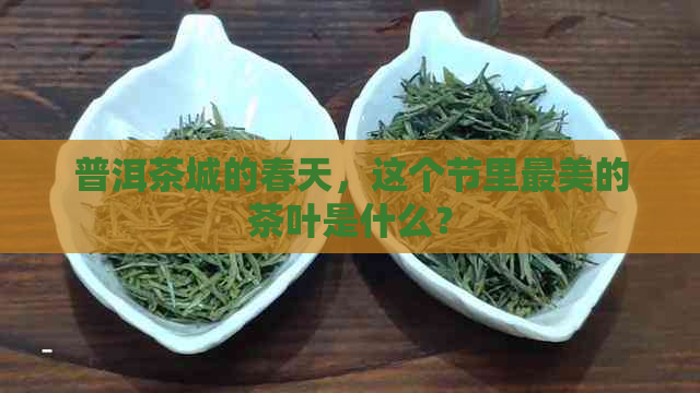 普洱茶城的春天，这个节里最美的茶叶是什么？