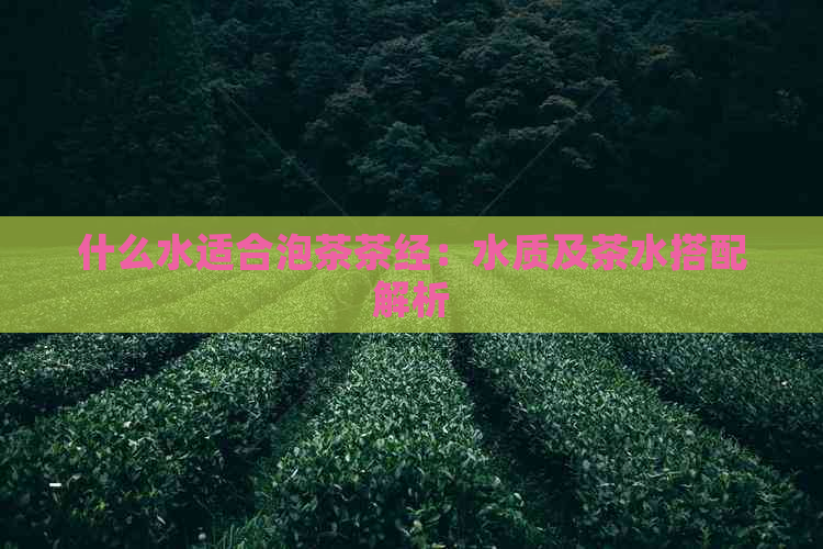 什么水适合泡茶茶经：水质及茶水搭配解析