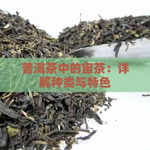 普洱茶中的宙茶：详解种类与特色