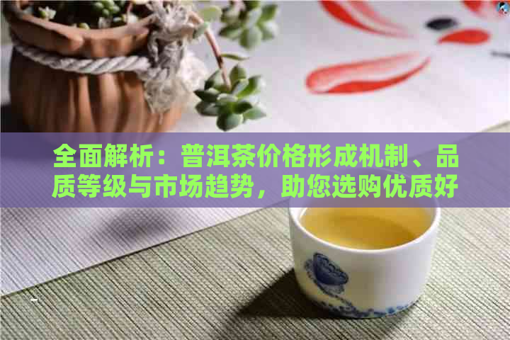 全面解析：普洱茶价格形成机制、品质等级与市场趋势，助您选购优质好茶