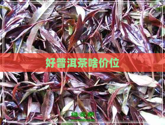 好普洱茶啥价位