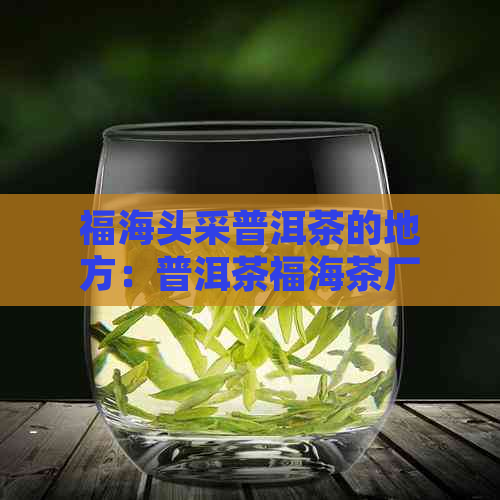 福海头采普洱茶的地方：普洱茶福海茶厂，寻找正宗产地！