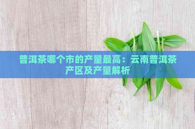 普洱茶哪个市的产量更高：云南普洱茶产区及产量解析