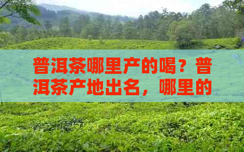 普洱茶哪里产的喝？普洱茶产地出名，哪里的？