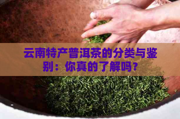 云南特产普洱茶的分类与鉴别：你真的了解吗？