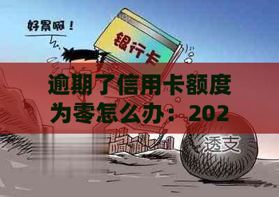 逾期了信用卡额度为零怎么办：2020年信用卡逾期总额度应对策略