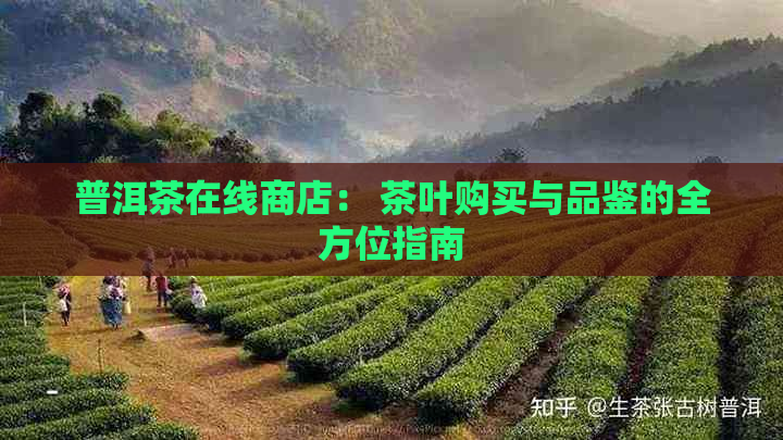 普洱茶在线商店： 茶叶购买与品鉴的全方位指南