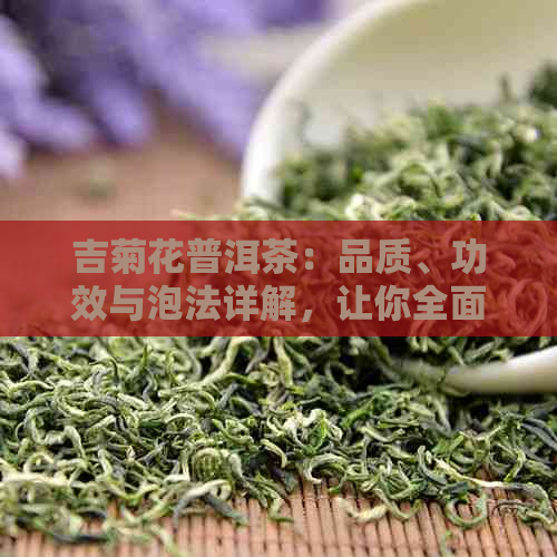 吉菊花普洱茶：品质、功效与泡法详解，让你全面了解这款茶的魅力与价值