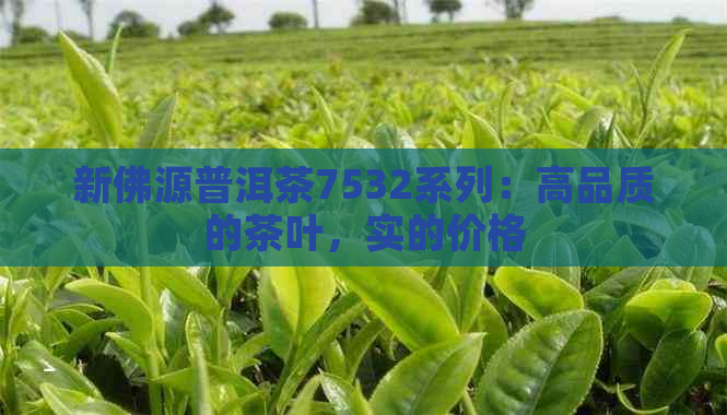 新佛源普洱茶7532系列：高品质的茶叶，实的价格