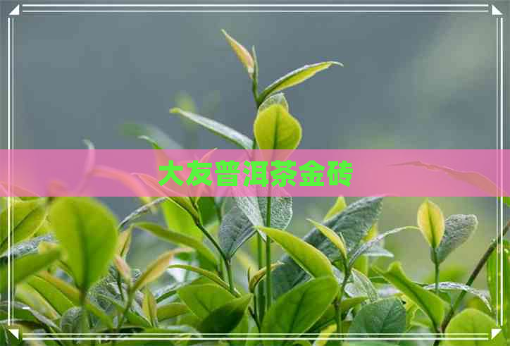 大友普洱茶金砖