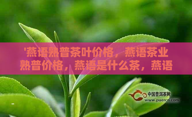 '燕语熟普茶叶价格，燕语茶业熟普价格，燕语是什么茶，燕语熟普茶叶'