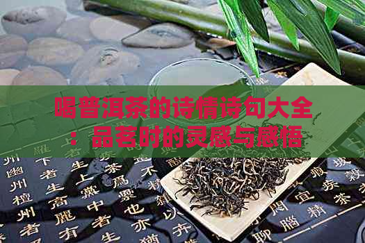 喝普洱茶的诗情诗句大全：品茗时的灵感与感悟