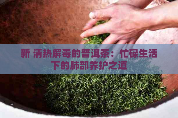 新 清热解的普洱茶：忙碌生活下的肺部养护之道