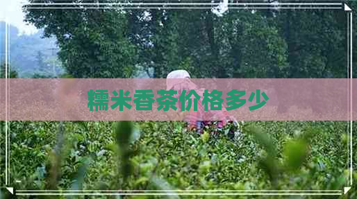 糯米香茶价格多少