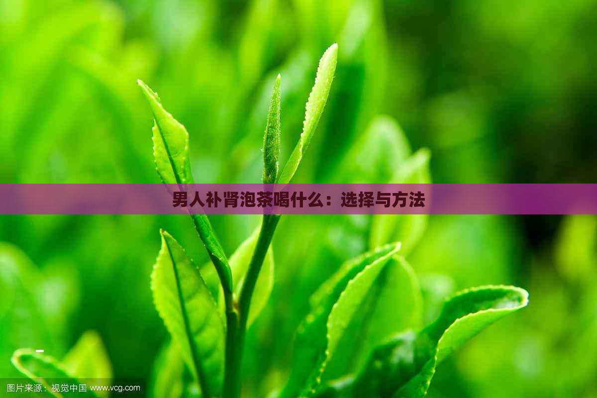 男人补肾泡茶喝什么：选择与方法