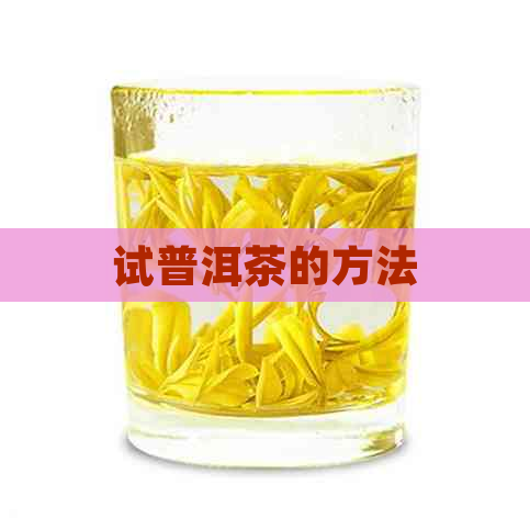 试普洱茶的方法