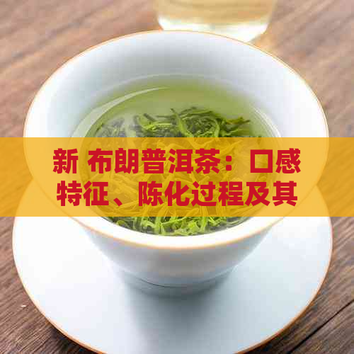 新 布朗普洱茶：口感特征、陈化过程及其对健的影响