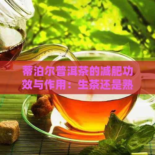 蒂泊尔普洱茶的减肥功效与作用：生茶还是熟茶？