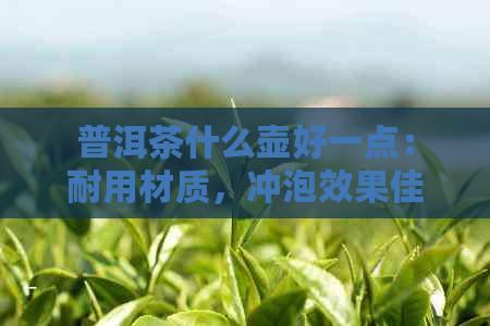 普洱茶什么壶好一点：耐用材质，冲泡效果佳