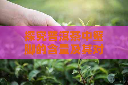 探究普洱茶中蟹脚的含量及其对茶叶品质的影响