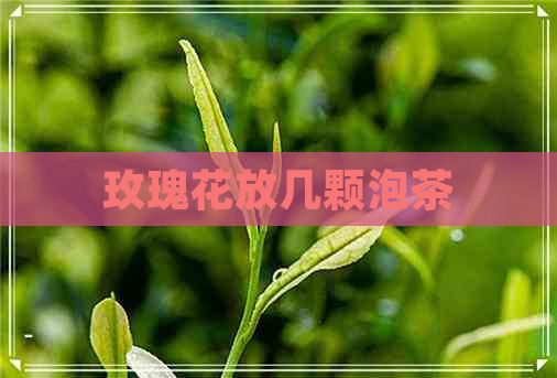 玫瑰花放几颗泡茶