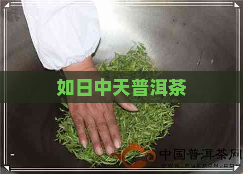 如日中天普洱茶