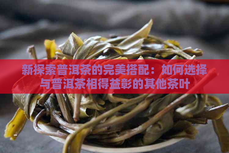 新探索普洱茶的完美搭配：如何选择与普洱茶相得益彰的其他茶叶