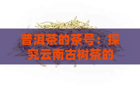 普洱茶的茶号：探究云南古树茶的历与文化魅力