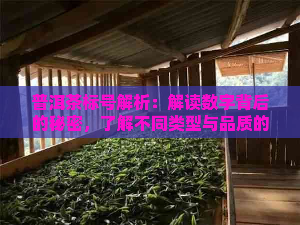 普洱茶标号解析：解读数字背后的秘密，了解不同类型与品质的关系