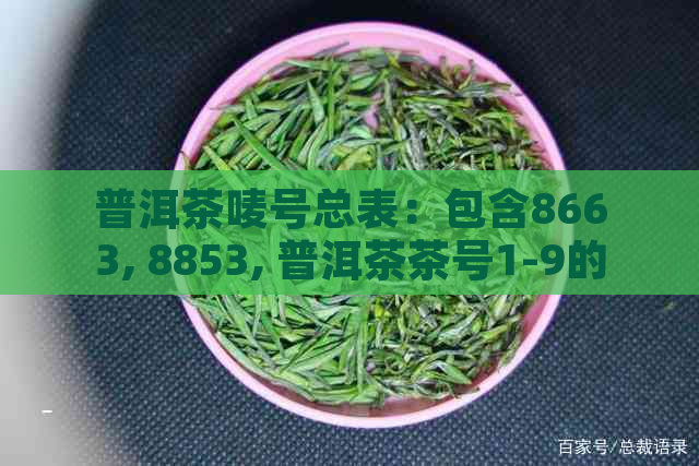 普洱茶唛号总表：包含8663, 8853, 普洱茶茶号1-9的对应茶厂信息。