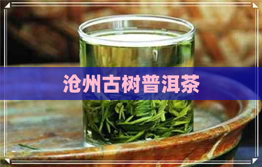 沧州古树普洱茶