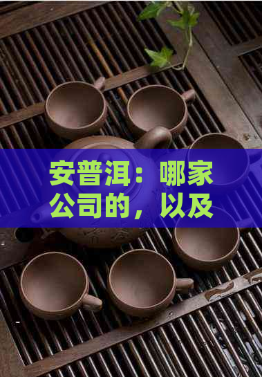 安普洱：哪家公司的，以及其产品特点和购买渠道？