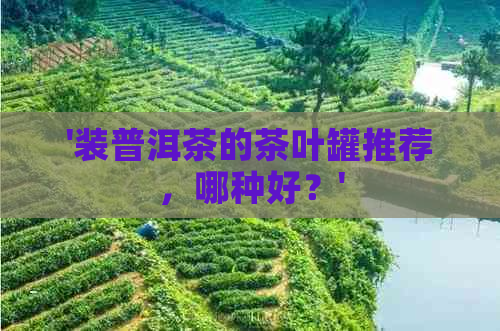 '装普洱茶的茶叶罐推荐，哪种好？'