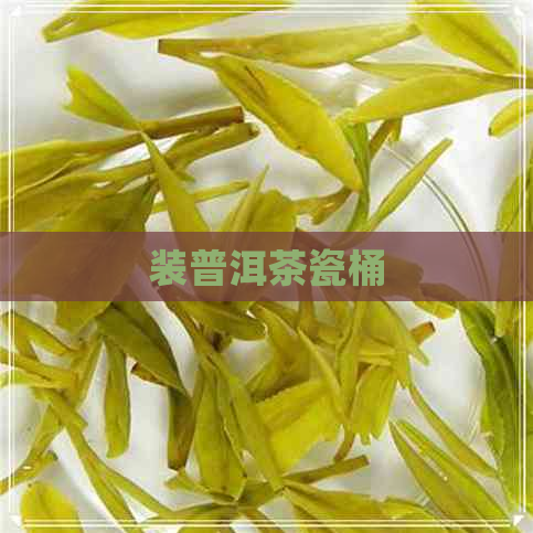 装普洱茶瓷桶