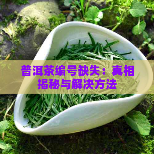 普洱茶编号缺失：真相揭秘与解决方法