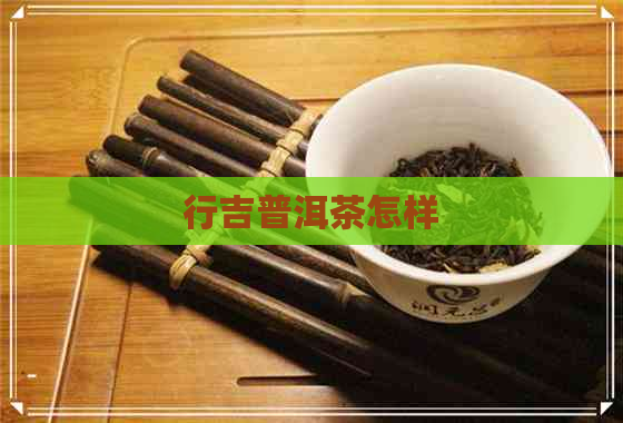 行吉普洱茶怎样