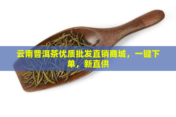 云南普洱茶优质批发直销商城，一键下单，新直供