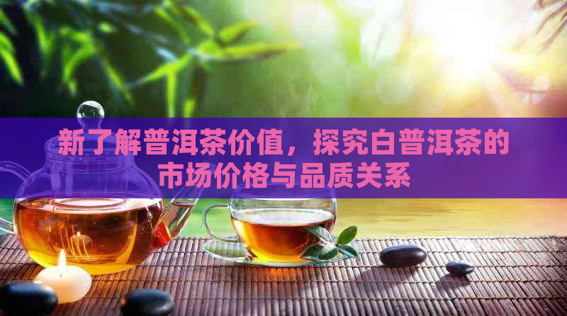 新了解普洱茶价值，探究白普洱茶的市场价格与品质关系