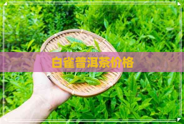 白雀普洱茶价格