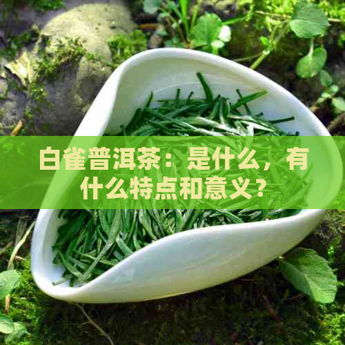 白雀普洱茶：是什么，有什么特点和意义？