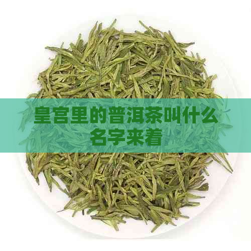 皇宫里的普洱茶叫什么名字来着