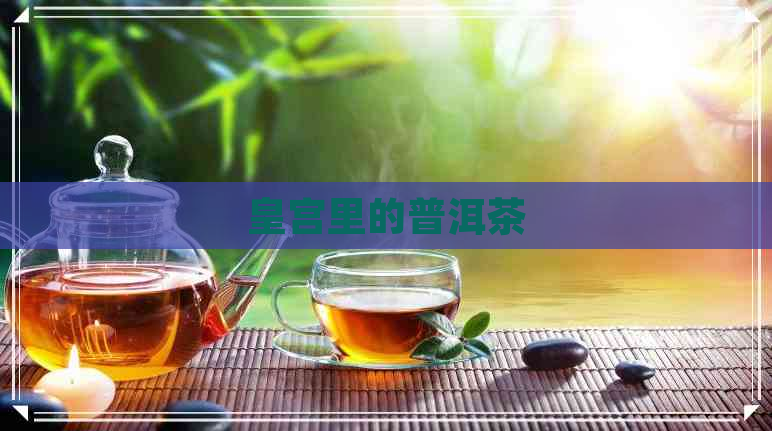 皇宫里的普洱茶