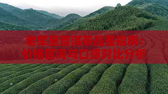 老军垦普洱茶品鉴指南：价格区间与口感对比分析